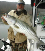 Smith Mountain Lake Striper Fishing Reports