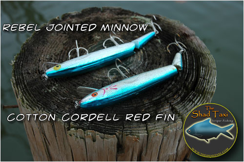 Rebel Jointed Minnow and Cotton Cordell Red Fin