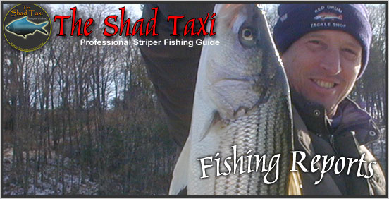 Smith Mountain Lake Striper Fishing Guide and Charter